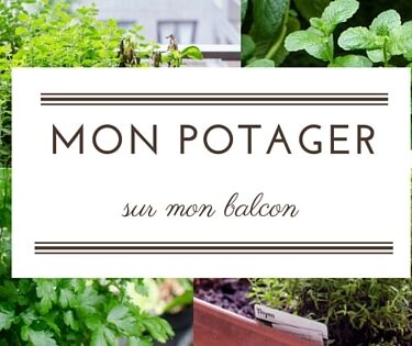 Mes plantations sur mon balcon