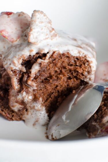 Gâteau à la pâte à tartiner, noix de coco et fraises