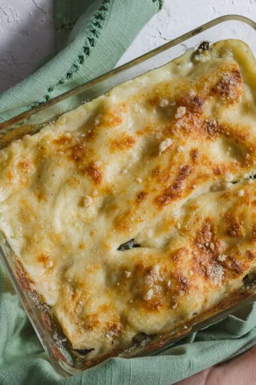 Lasagnes blettes et chèvre
