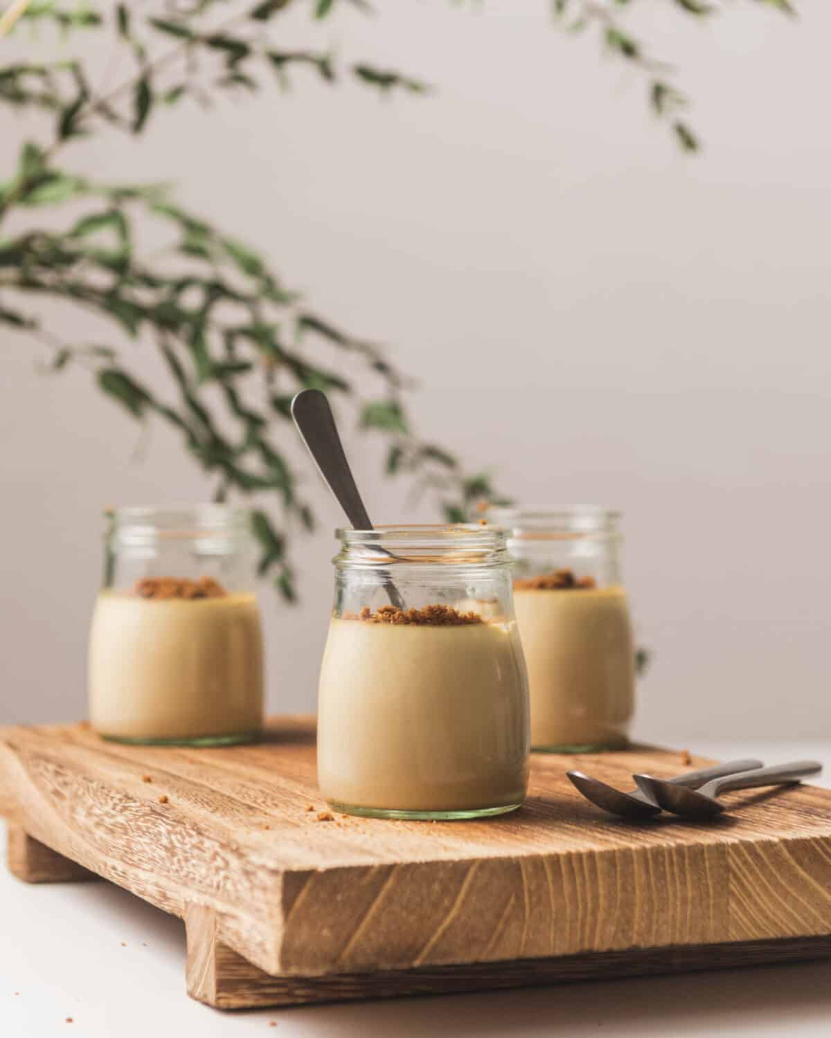 Recette facile de panna cotta aux speculoos Un dessert crémeux et