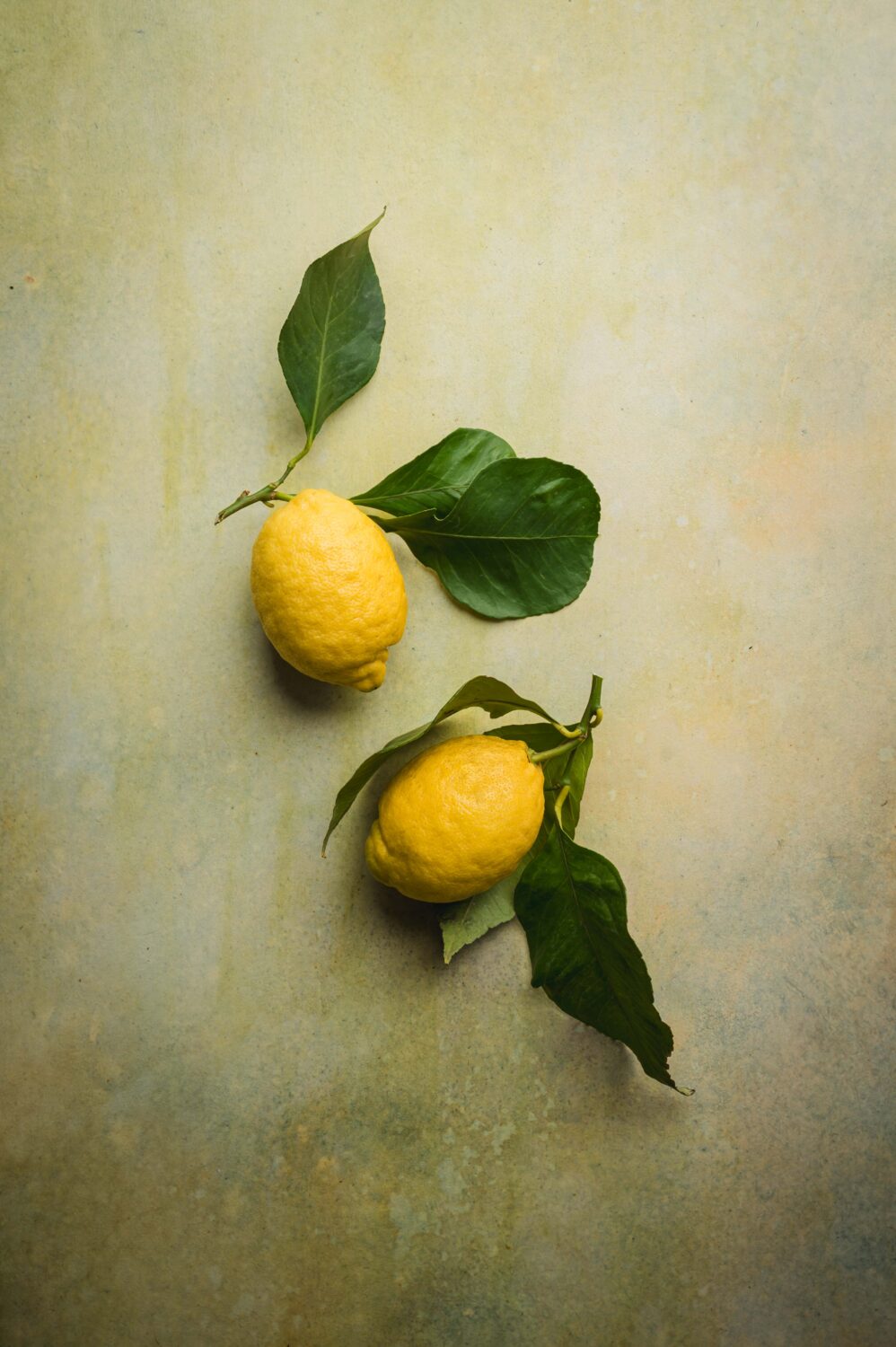 Deux citrons avec feuille